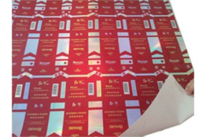 Inspection-of-Printing-Paper